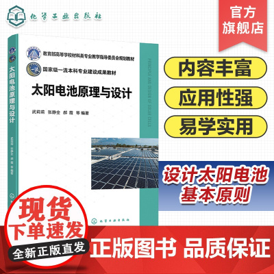 太阳电池原理与设计 武莉莉 太阳电池能量损失机制 不同类型太阳电池器件特点及改进 高等院校新能源材料与器件等专业应用教