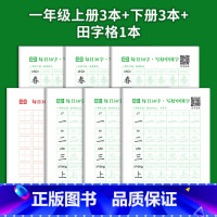 1年级上下+赠田字格·7本 [正版]荣恒教育 减压同步字帖一年级二年级三年级四五六年级上下册语文人教版同步练字帖每日30