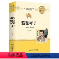 [正版]骆驼祥子原著 老舍 七年级文学书目初中生小学生课外阅读书籍三四五六年级语文儿童读物世界经典名著图书海底两万里