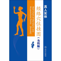 [M]经络穴位挂图-9787117240222