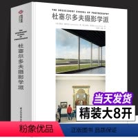 [正版]全新 杜塞尔多夫摄影学派 斯特凡格罗内尔著摄影艺术解放集大成之作品集当代摄影师无法绕开艺术地位艺术摄影教学教程
