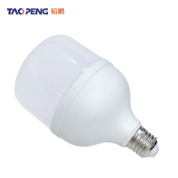 韬鹏 LED灯泡 50W 个