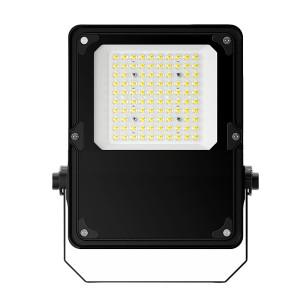 XD JX.XINGDIAN LED泛光灯具 XD-921 50W 个