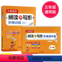 [正版]小学语文阅读与写作阶梯训练+测评卷套装五年级 小学语文5年级课外阅读理解训练通用版上下册专项阅读与写作阶梯练习