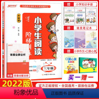 [正版]2022版 宇轩图书 新概念 小学生阅读阶梯训练 三年级上下册通用/3年级 升级版 语文阅读理解专项训练名师教