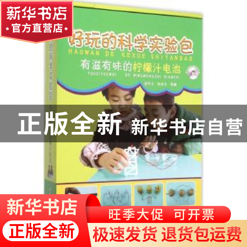 正版 有滋有味的柠檬汁电池 段伟文,张承光 等 科学普及出版社 9