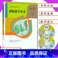 [正版]小学教师用书英语5年级下册人教版SL一年级起点小学英语教学参考人教社新起点教师教学用书英语五年级下册教科书配套