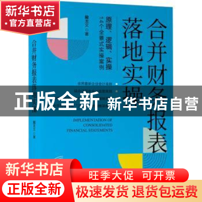 正版 合并财务报表落地实操 藺龙文 机械工业出版社 978711170990