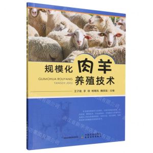 [N]规模化肉羊养殖技术-9787109311084