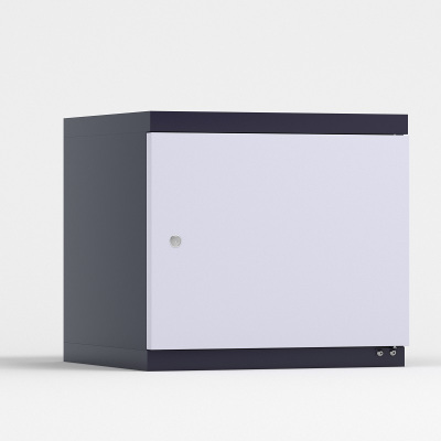 臻远 防磁柜CD光盘柜磁盘柜U盘柜信息安全柜储存柜 2抽 高495*宽435*深475