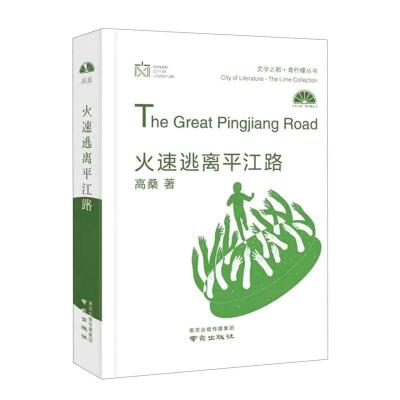 正版新书]火速逃离平江路高桑9787553331782