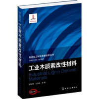 音像工业木质素改材料邱学青,刘伟峰