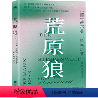 [正版]荒原狼 (德)赫尔曼·黑塞 著 陈虹嫣 等 译 江苏凤凰文艺出版社 WX