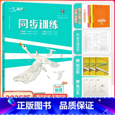 [同步训练]物理 人教版(RJ) 九年级下 [正版]2025春版新天津专版同步训练九年级下册物理人教物理课时作业单元期中