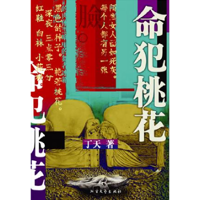 正版新书]命犯桃花丁天9787531719106