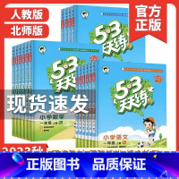 数学[人教版] 二年级上 [正版]2023新版53天天练一二三四五六年级上册下册语文数学英语全套同步训练人教版苏教123