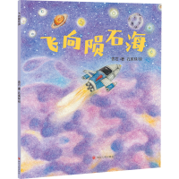 音像飞向陨石海青石