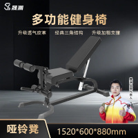 晟渊 哑铃凳仰卧起坐板商用多功能健身椅YZYLD37