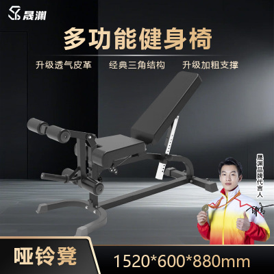 晟渊 哑铃凳仰卧起坐板商用多功能健身椅YZYLD37