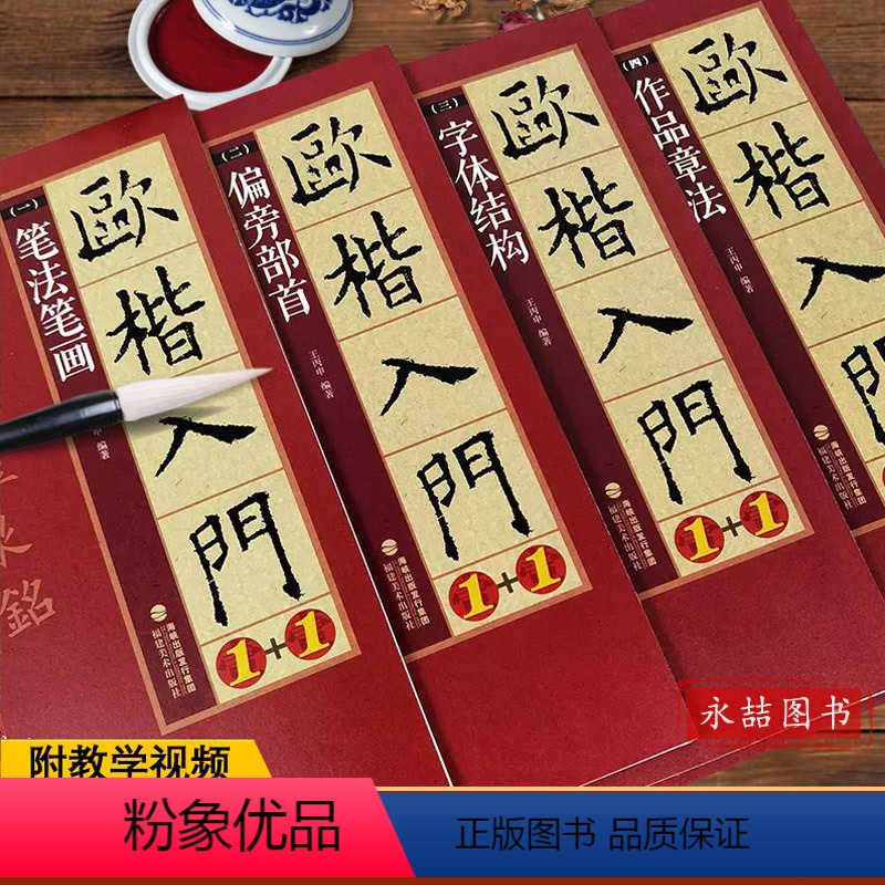 [正版]视频教程 欧楷入门1+1 欧阳询楷书入门基础教程 基本笔画部首结构 九成宫醴泉铭学生成人书法毛笔练字帖培训教程