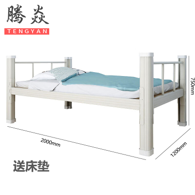 腾焱宿舍床1200*2000mm张