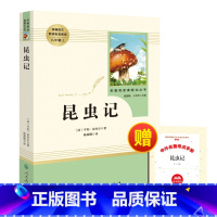 [人教必读]昆虫记 [正版]2023人教版初中课外阅读名著钢铁是怎样炼成的·傅雷家书·经典常谈完整版八年级上下册任选语文