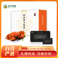 [礼券]阳澄紫牌 苏州精品大闸蟹礼券3888型 公蟹4.5两/只 母蟹3.5两/只 5对10只 去绳净重螃蟹礼盒 礼卡