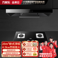 万家乐 烟灶厨电套餐装 20立方大吸力油烟机 欧式顶吸 挥手智控 智旋暴风洗 台嵌两用天然气灶AT051+LAY3