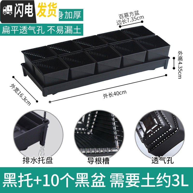 三维工匠美莳多肉控根花盆带托盘大号透气肉肉植物花盆创意多 [新款盆]+[排水黑托]+10个黑盆(口径7.35cm花盆容器