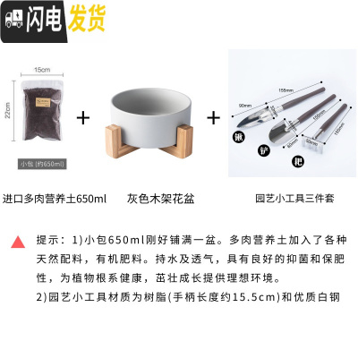 三维工匠ins多肉植物花盆陶瓷北欧简约木架创意无孔绿萝铜钱水培花盆小 灰色花盆+多肉土+园艺工具13元 中花盆容器