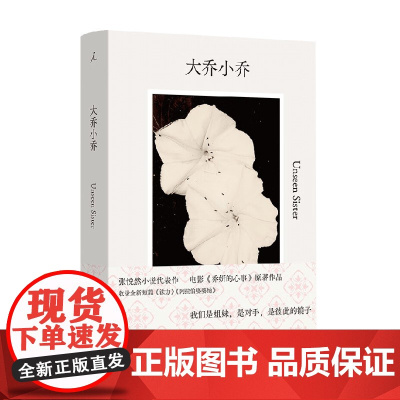 大乔小乔 张悦然 著 小说