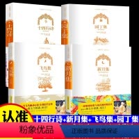 [正版]蓝天出版社飞鸟集+新月集+园丁集+十四行诗 彩色版全4册 英汉对照双语版泰戈尔诗选诗集小学生初中生阅读课外