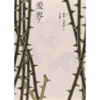 正版新书]爱界(英)费伊·韦尔登 著;肖丽媛 译9787020144211