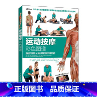 [正版]运动按摩彩色图谱 从人体5条肌筋膜链出发图解各部位运动按摩的方法与技术 附教学演示视频