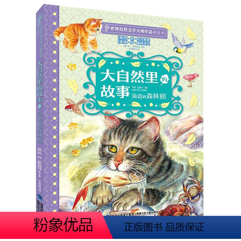 大自然里的故事:海边的森林猫 [正版]海边的森林猫 大自然里的故事 列夫托尔斯泰屠格涅夫彩图美绘版小学生三四五六年级6-