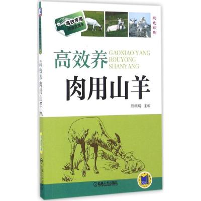 正版新书]高效养肉用山羊熊朝瑞9787111544814