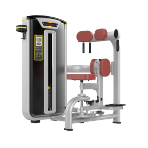 扬子(YANGZI) YZ-BS011 旋转训练器