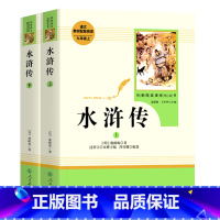 水浒传2册❤️人教版名著 [正版]艾青诗选和水浒传原著无删减人民教育出版社初中九年级语文配套必读名著泰戈尔诗选人教版初三