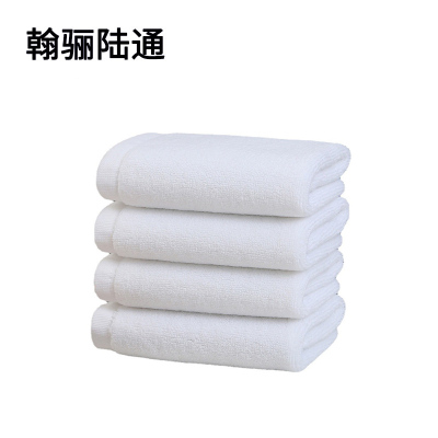 翰骊陆通 加厚纯棉全棉擦试布 白色35cm*75cm 条