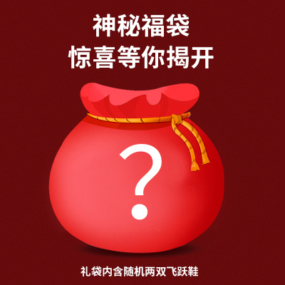 feiyue/飞跃神秘福袋/真香福袋随机两双鞋
