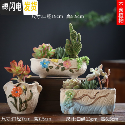 三维工匠可画画上色彩多肉小花盆陶瓷粗陶透气创意肉肉植物盆 玫红色图片款[3个装] 中等花盆容器