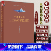 [正版]中医皮肤病三焦经络部位辨治 宫振甲 著 中医 皮肤病学 经络三焦理论和临床实践共四部分 人民卫生出版社9787