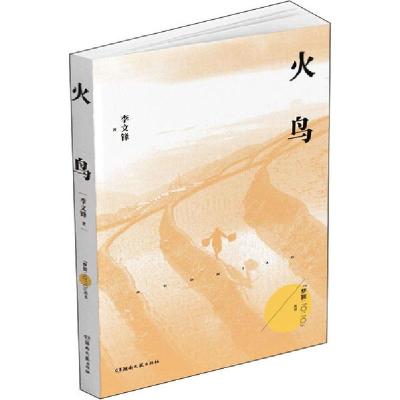 正版新书]火鸟李文锋9787540497828