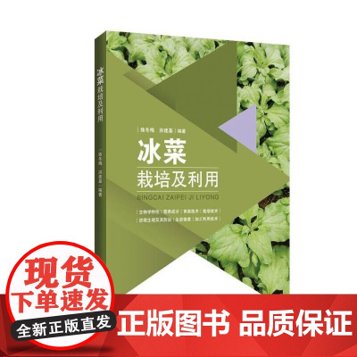 冰菜栽培及利用