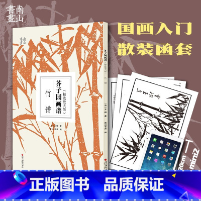 [正版]芥子园画谱精选放大版 竹谱 康熙原版国画技法经典作品 中国画入门技法书籍 国画临摹画册册页 清王概芥子园画传