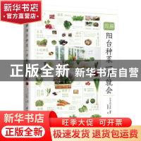 正版 图解阳台种菜一学就会 日本主妇之友社 编著 凤凰含章出品