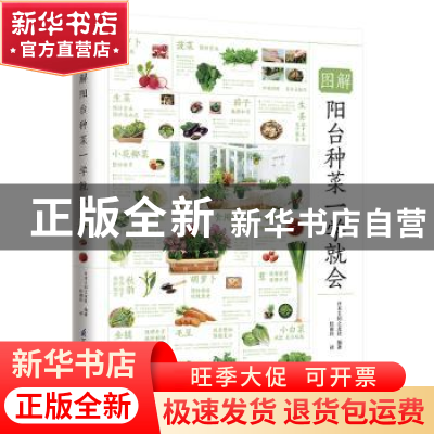 正版 图解阳台种菜一学就会 日本主妇之友社 编著 凤凰含章出品