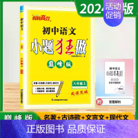 八年级上 [巅峰]语文-人教版 [正版]2024秋季初中必刷小题狂做七八九年级上下册语文数学英语物理化学提优巅峰版初一二