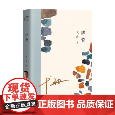 碎瓷 弋舟 著 文学