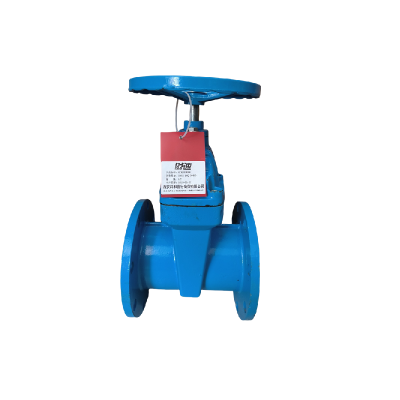 时速 软密封闸阀 Z45X-16Q DN50 个